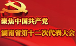 湖南省第十二次党代会主席团举行第四次会议